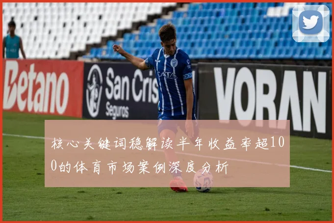 核心关键词稳解读半年收益率超100的体育市场案例深度分析